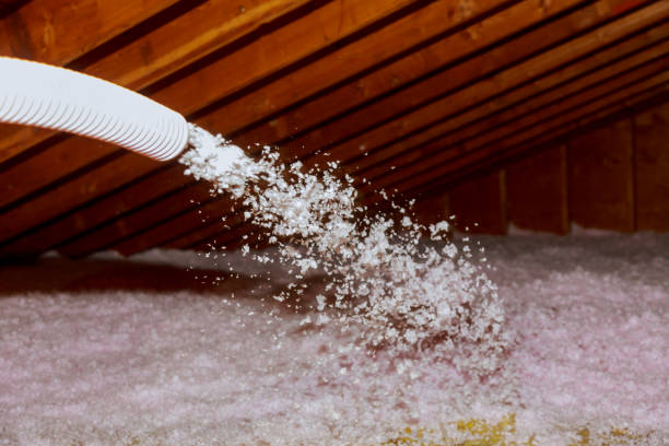 Best Insulation Installation Services in Roselawn, IN