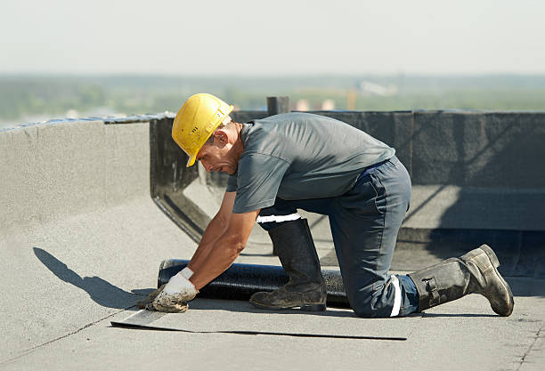 Best Insulation Maintenance and Repair in Roselawn, IN