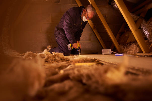 Best Insulation Installation Services in Roselawn, IN